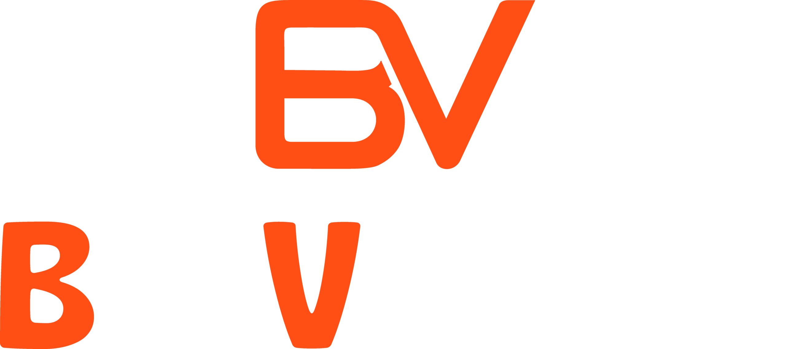 balivendor logo
